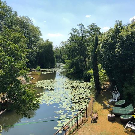 Magnifique Moulin Proche Chablis, Jacuzzi Et Riviere Villa Annay-sur-Serein Eksteriør billede