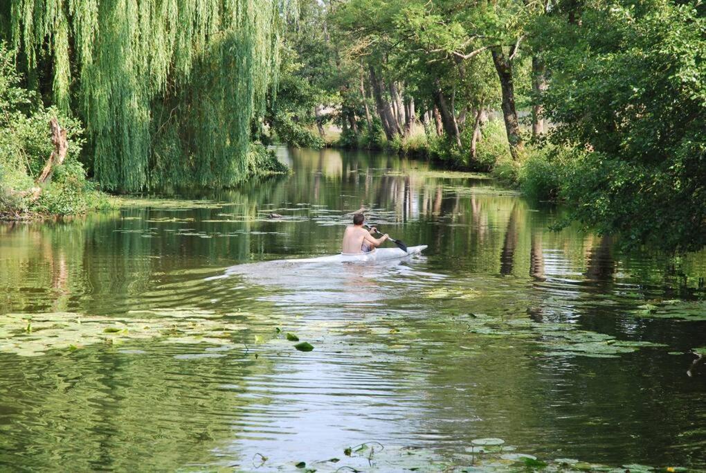 Magnifique Moulin Proche Chablis, Jacuzzi Et Riviere Villa Annay-sur-Serein Eksteriør billede