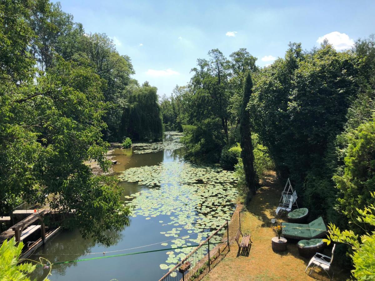 Magnifique Moulin Proche Chablis, Jacuzzi Et Riviere Villa Annay-sur-Serein Eksteriør billede