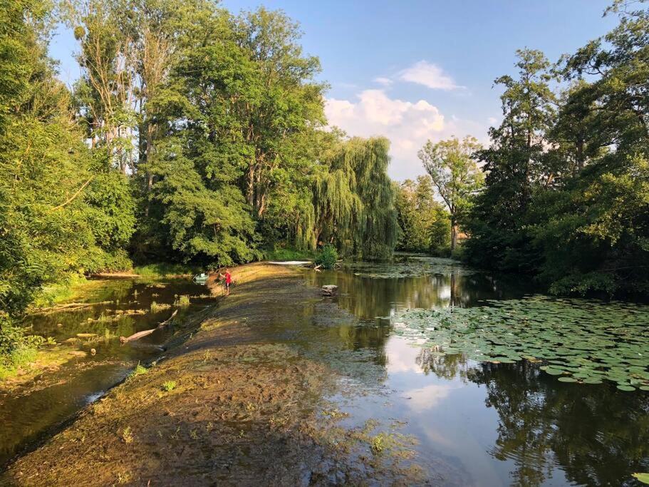 Magnifique Moulin Proche Chablis, Jacuzzi Et Riviere Villa Annay-sur-Serein Eksteriør billede