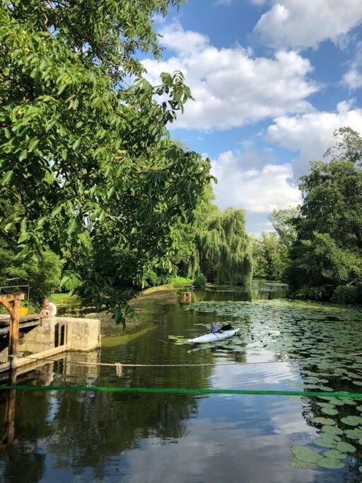 Magnifique Moulin Proche Chablis, Jacuzzi Et Riviere Villa Annay-sur-Serein Eksteriør billede