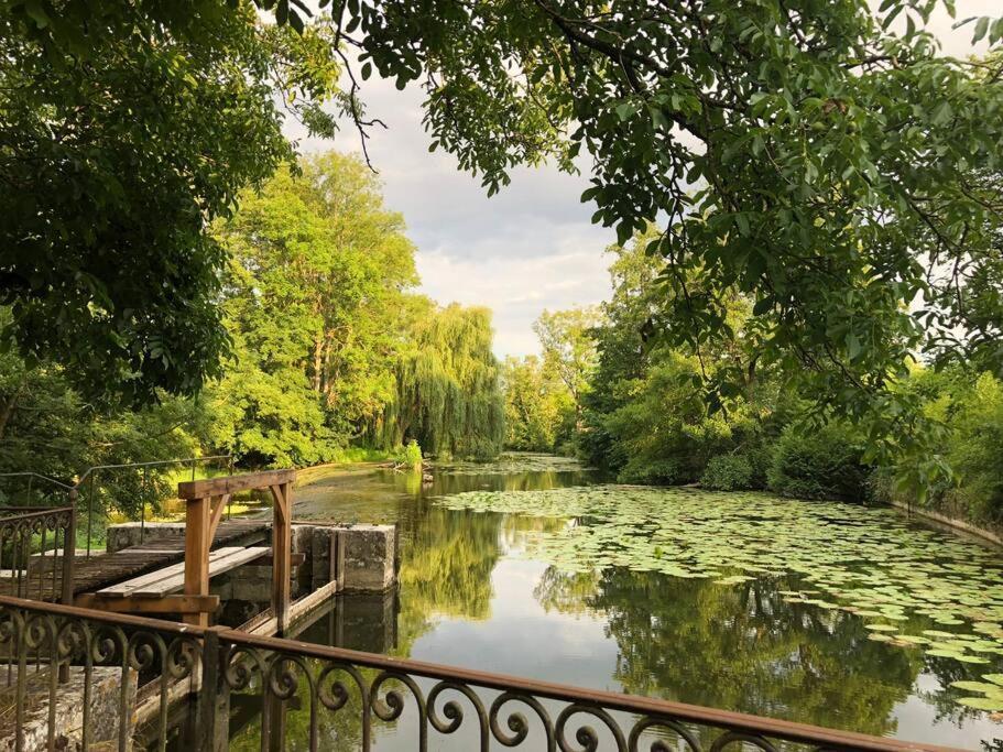 Magnifique Moulin Proche Chablis, Jacuzzi Et Riviere Villa Annay-sur-Serein Eksteriør billede