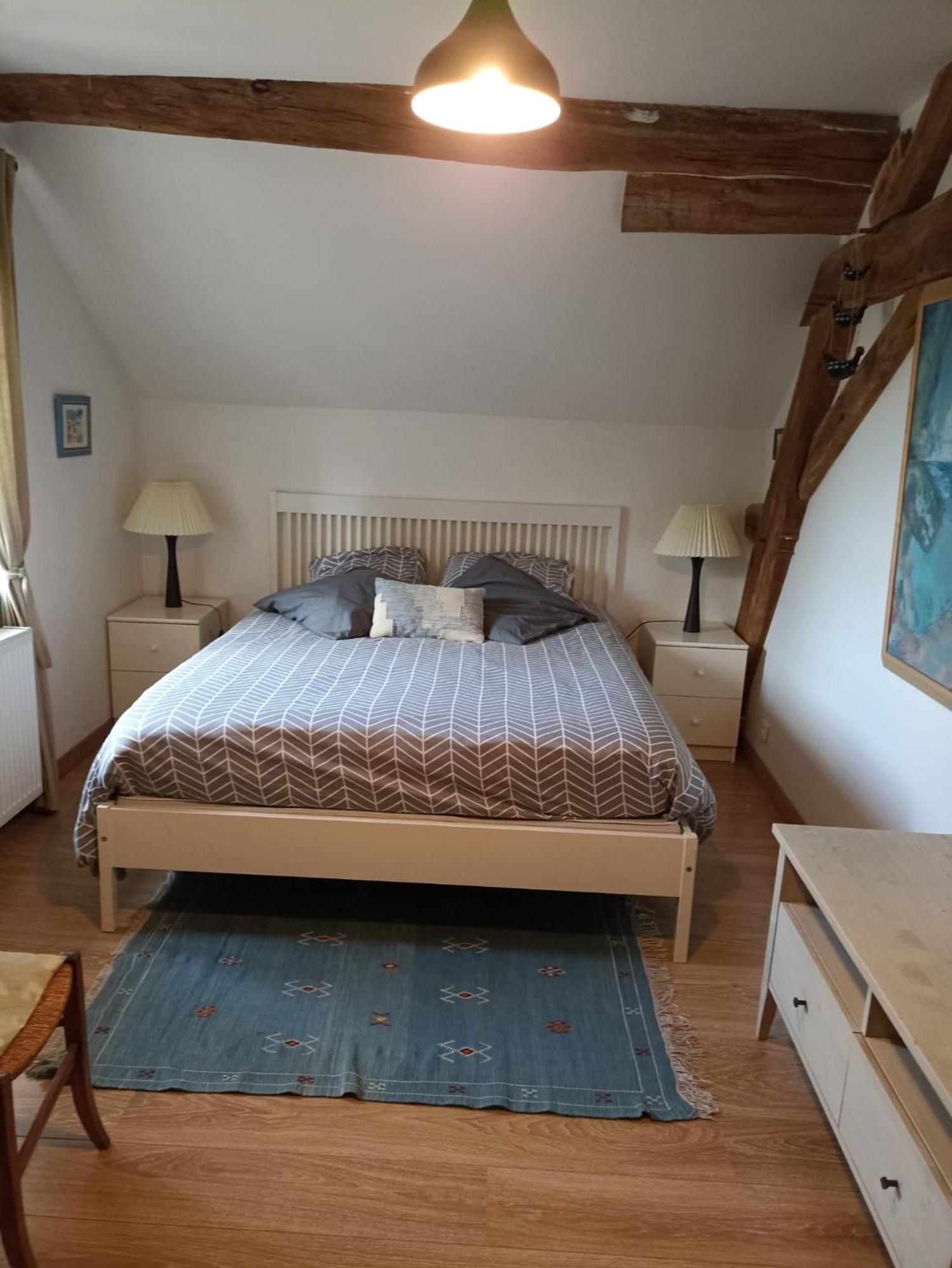 Magnifique Moulin Proche Chablis, Jacuzzi Et Riviere Villa Annay-sur-Serein Eksteriør billede